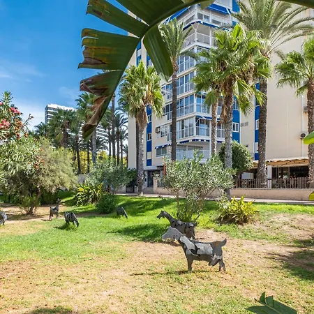 Apartment Ocean Ii 9-c Levante